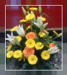 Composizione fiori misti in ciottola Luce