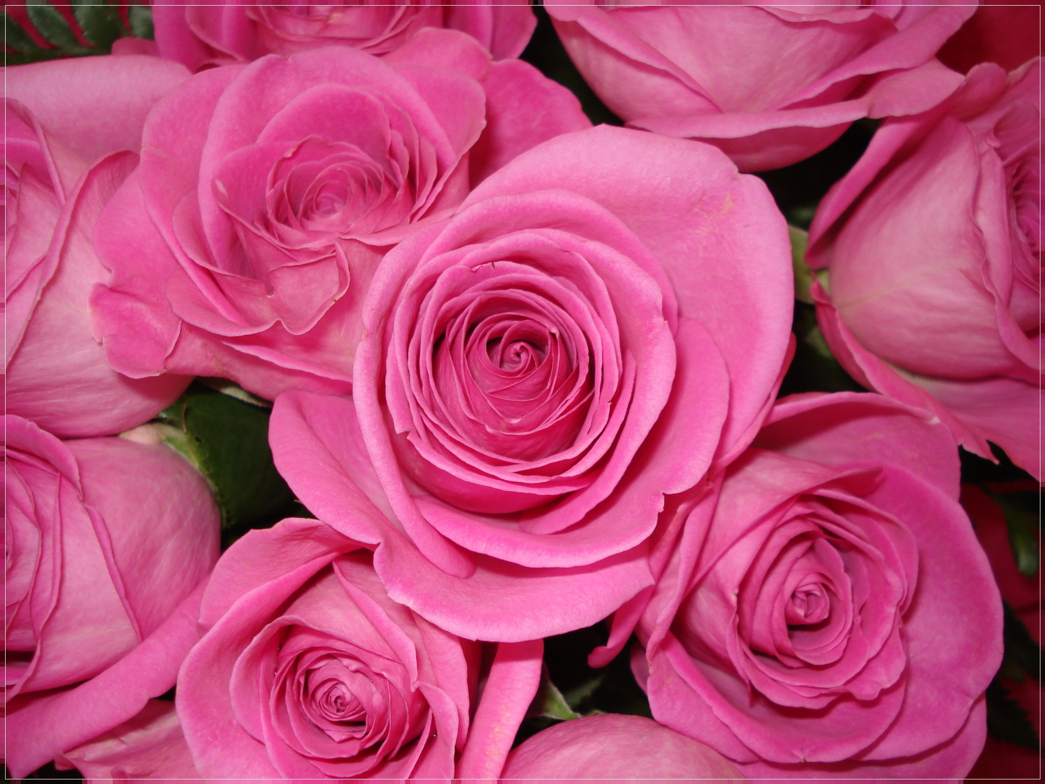 rose gambo medio a  tua scelta