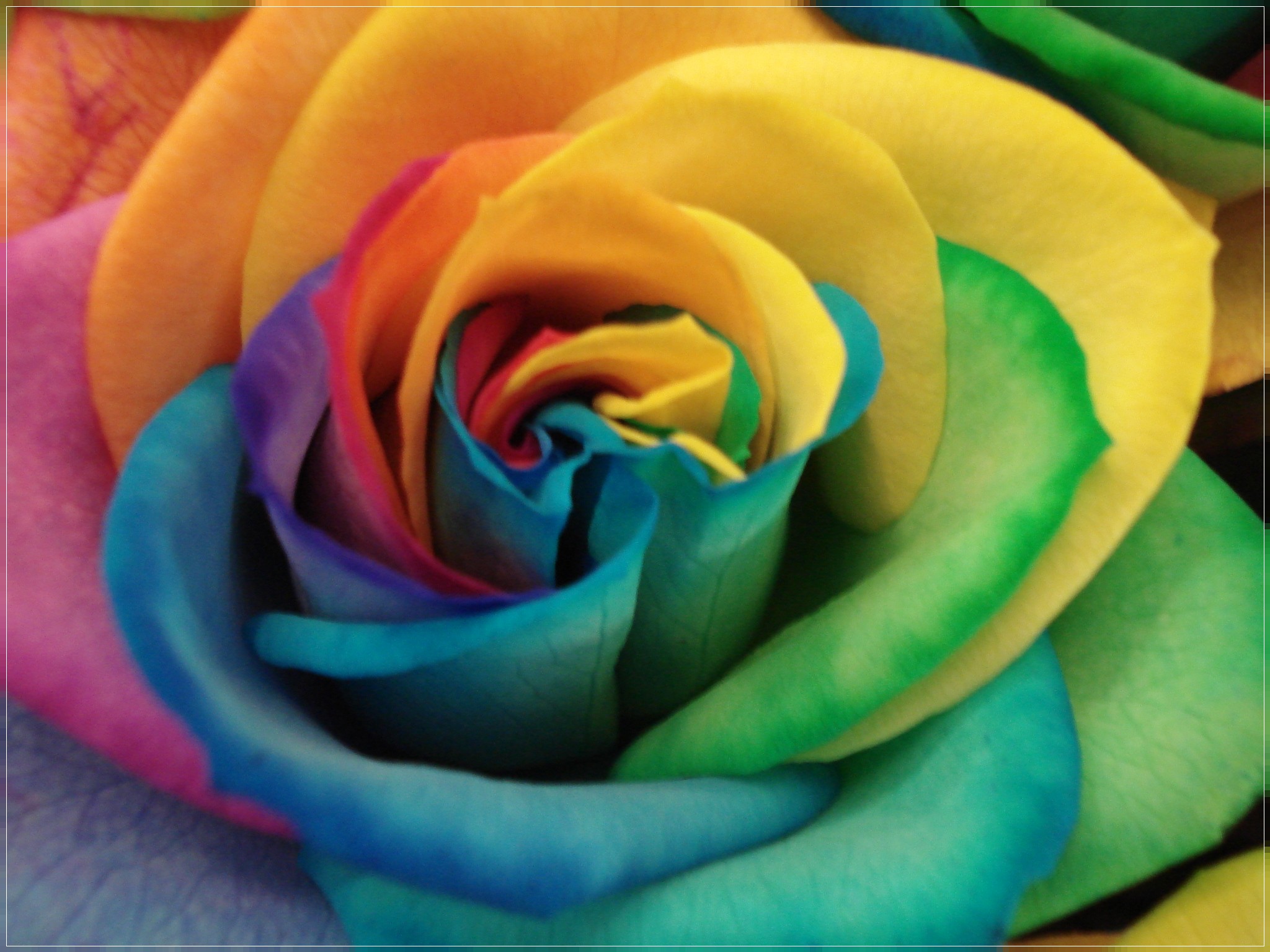 Composizione fiori misti