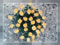 Composizione tonda di rose in ciottola 