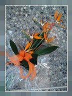 mazzo streltizia