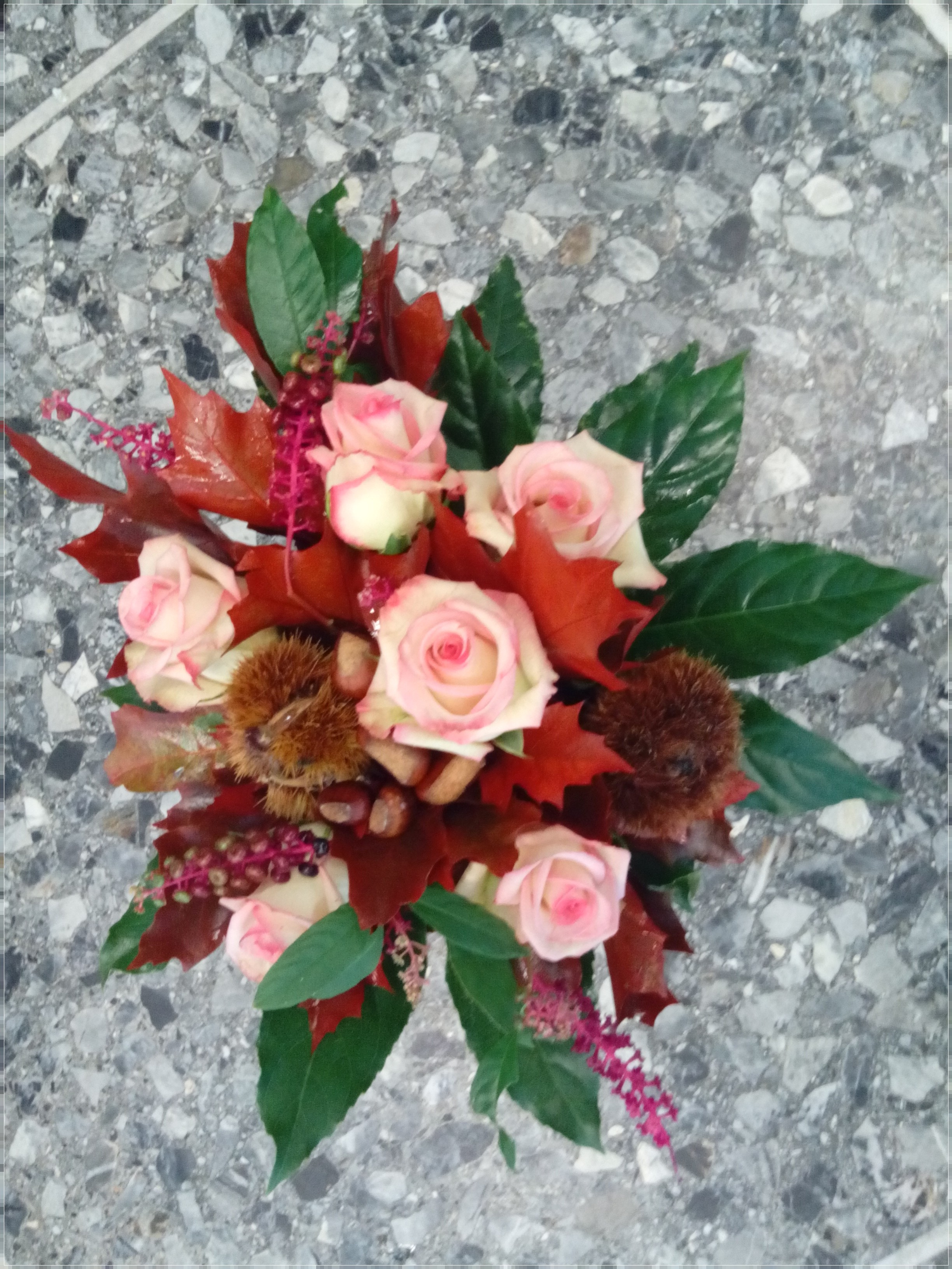 bouqueti nelly