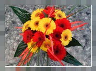 bouquet margherita
